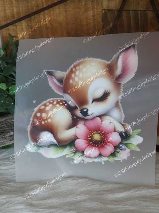 Baby Deer